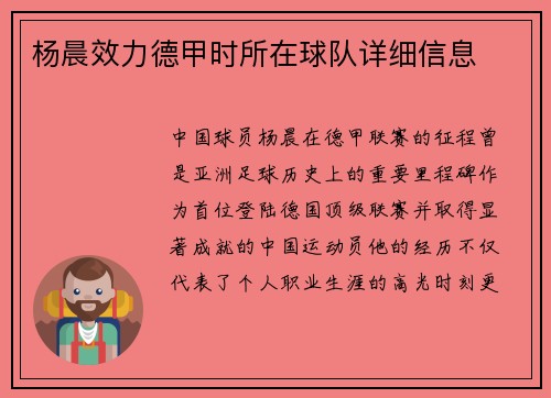 杨晨效力德甲时所在球队详细信息