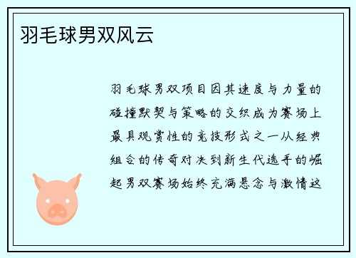 羽毛球男双风云